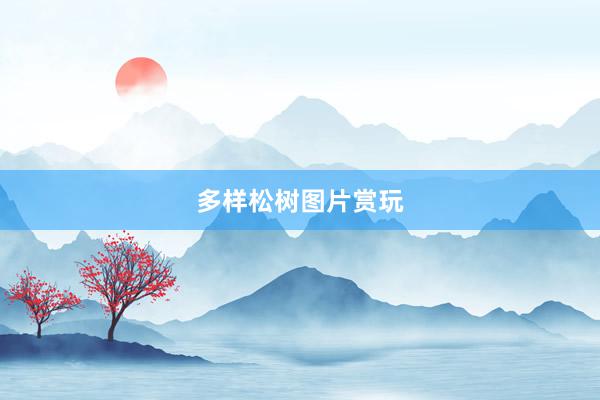 多样松树图片赏玩